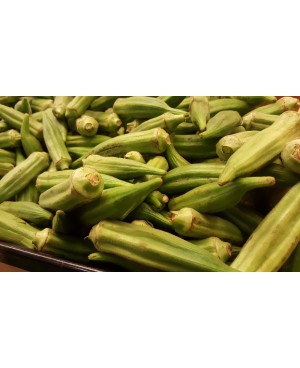 Okra (Bhendi) संशोधित  हाईब्रीड भींडी बीज  नाईस - प्रिमियम प्लस