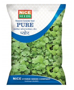 Nice - pure Coriander धनिया (मल्टीकट) बीज  नाईस - प्योर 