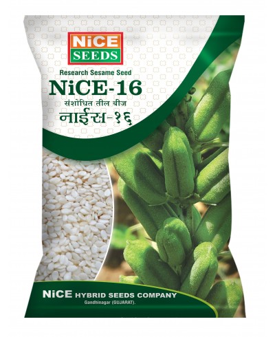 TIL NICE – 16  नाइस - १६