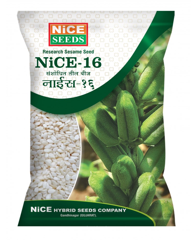 TIL NICE – 16  नाइस - १६