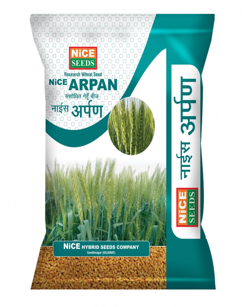 Nice Arpan Wheat  गेहूँ बीज  नाईस - अर्पण