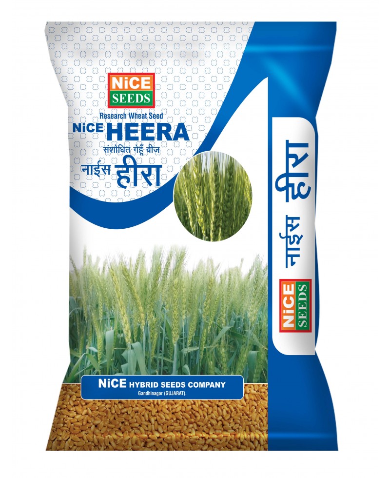 Nice Heera Wheat   नाईस - हिरा गेहूँ बीज 